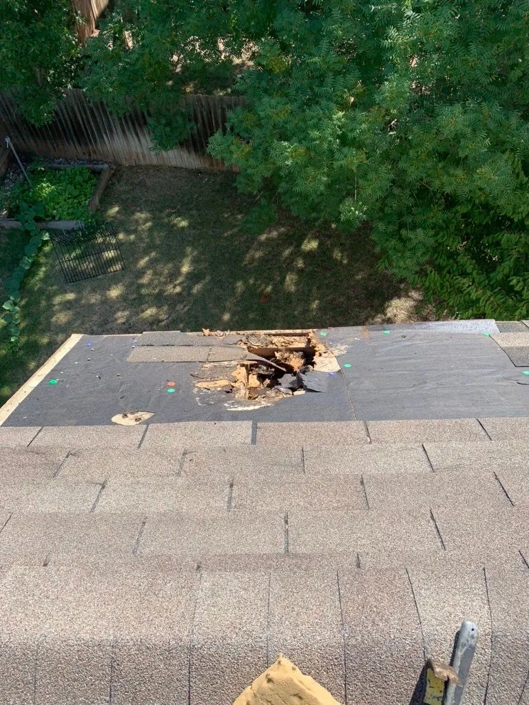 Austin roof affected by mature tree damage